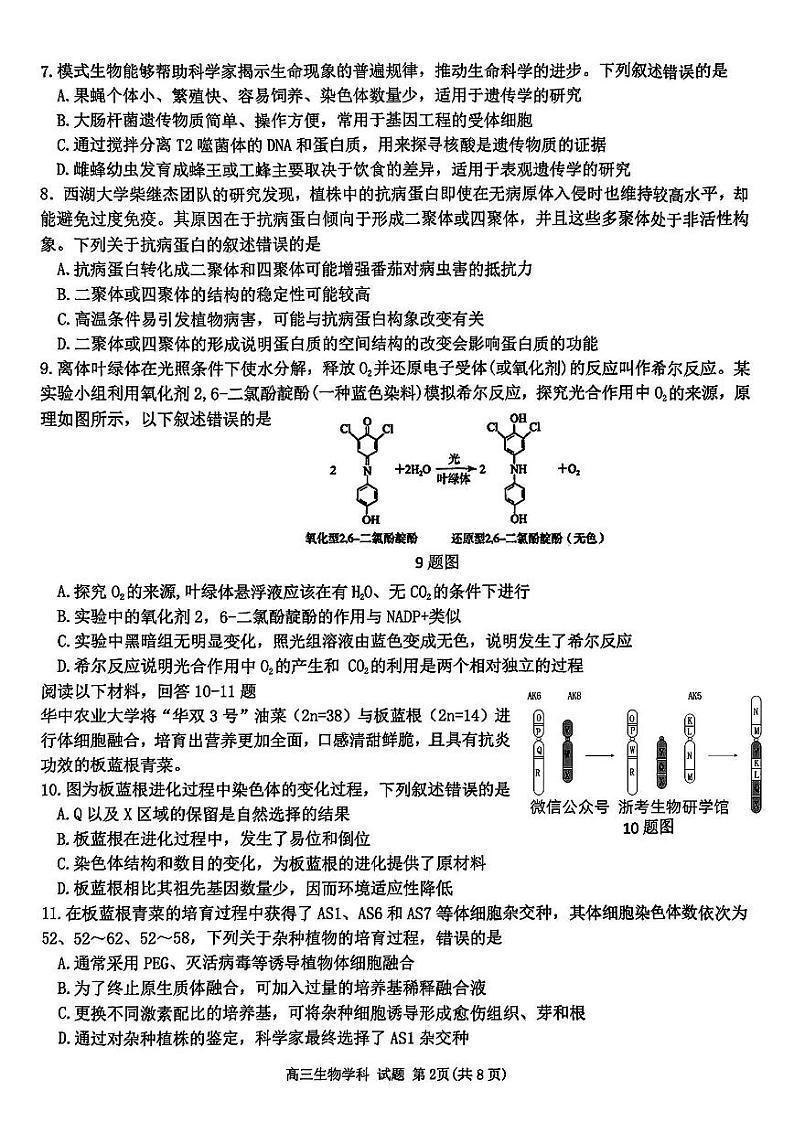 浙江省北斗星盟2024-2025学年高三上学期12月月考生物试卷及答案第2页