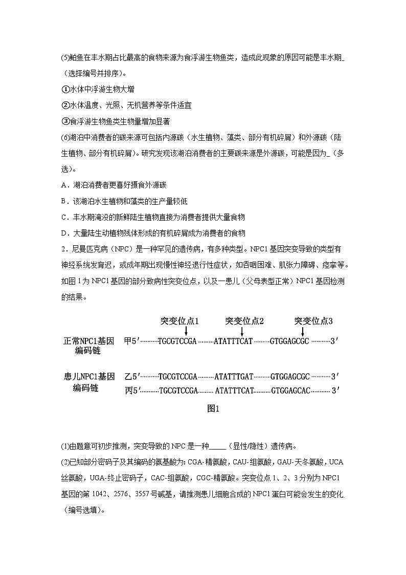2025届上海市宝山区高三一模生物试题第2页