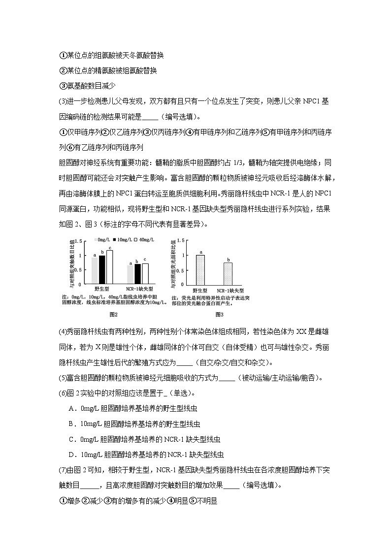 2025届上海市宝山区高三一模生物试题第3页