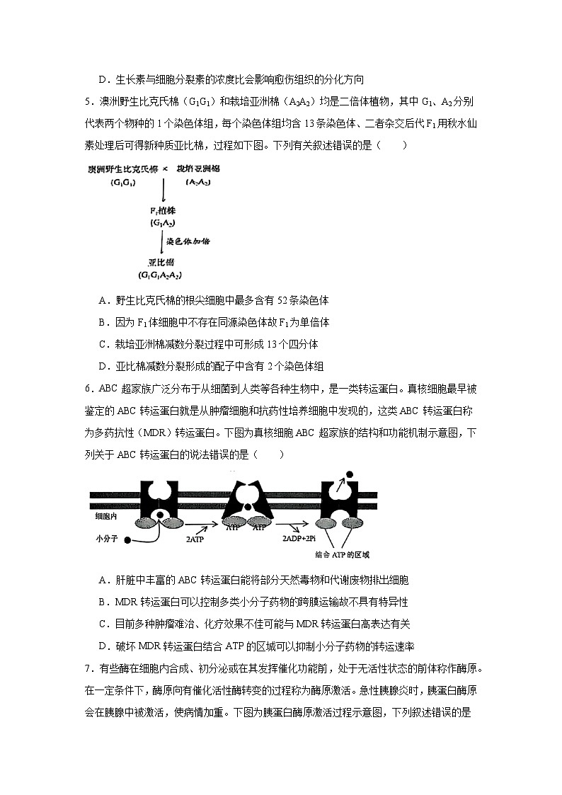2025届云南省红河州、文山州高三第一次复习统一检测生物试卷第2页