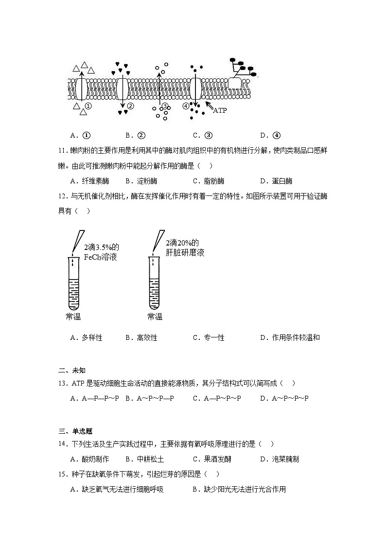 江苏省淮安市普通高中2024-2025学年高二上学期学业水平合格性考试模拟生物试题第2页