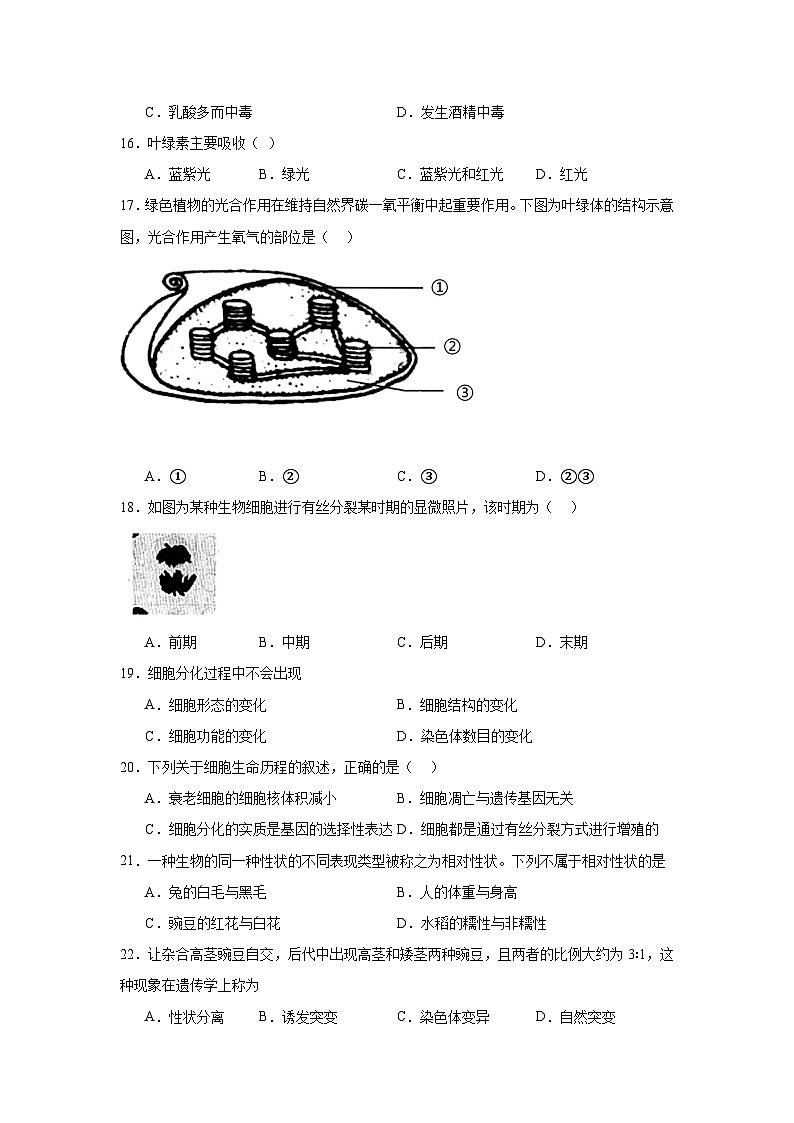 江苏省淮安市普通高中2024-2025学年高二上学期学业水平合格性考试模拟生物试题第3页