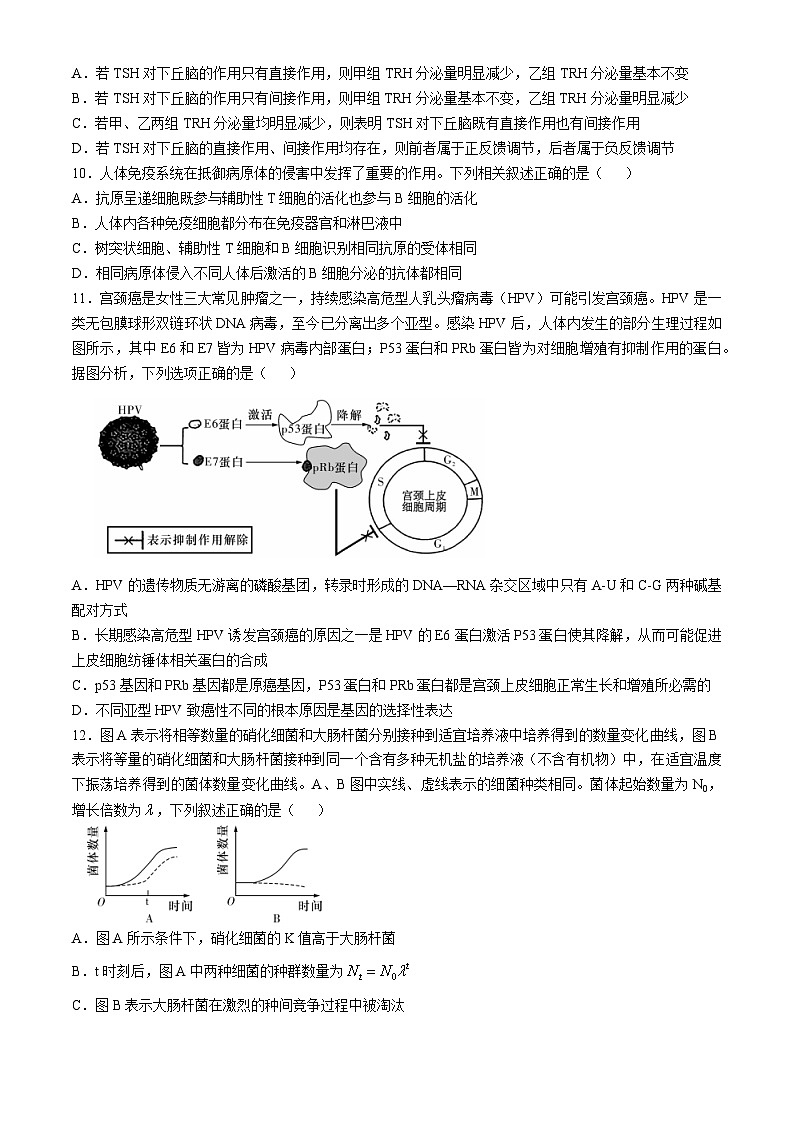 2025长沙一中高三上学期第四次月考试题生物含解析第3页