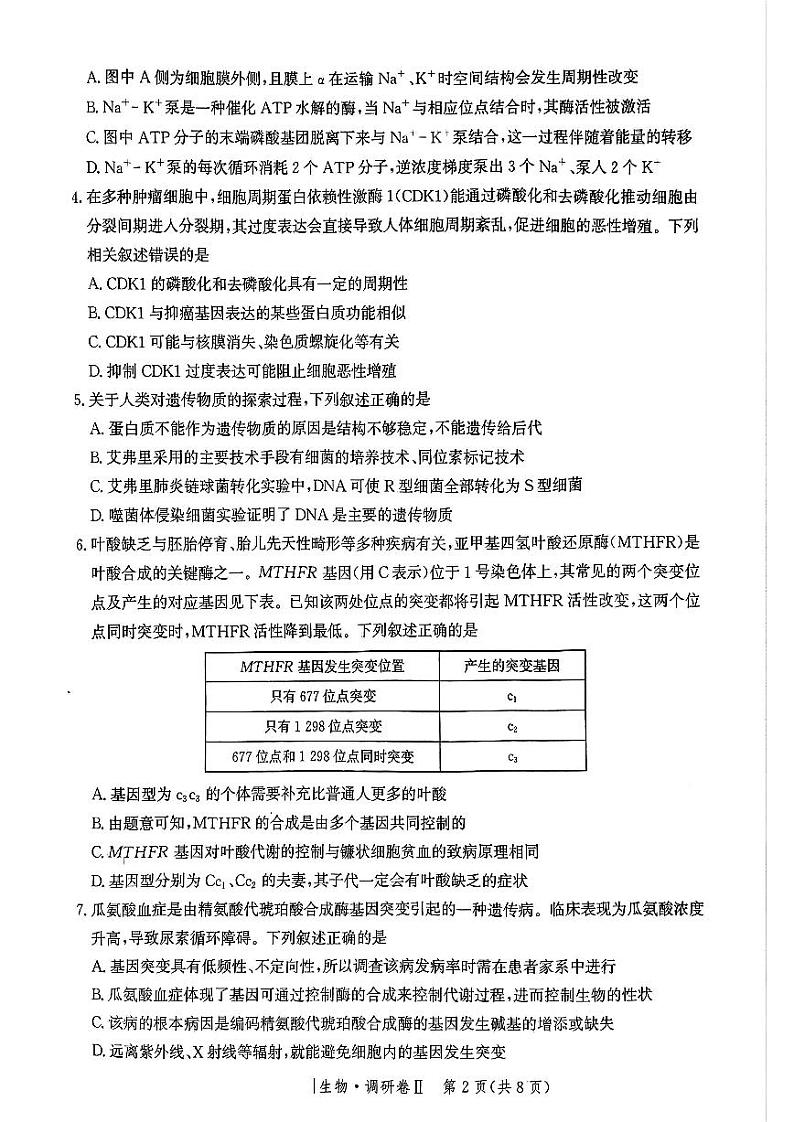 2025邯郸部分校高三上学期12月月考试题生物PDF版含解析第2页