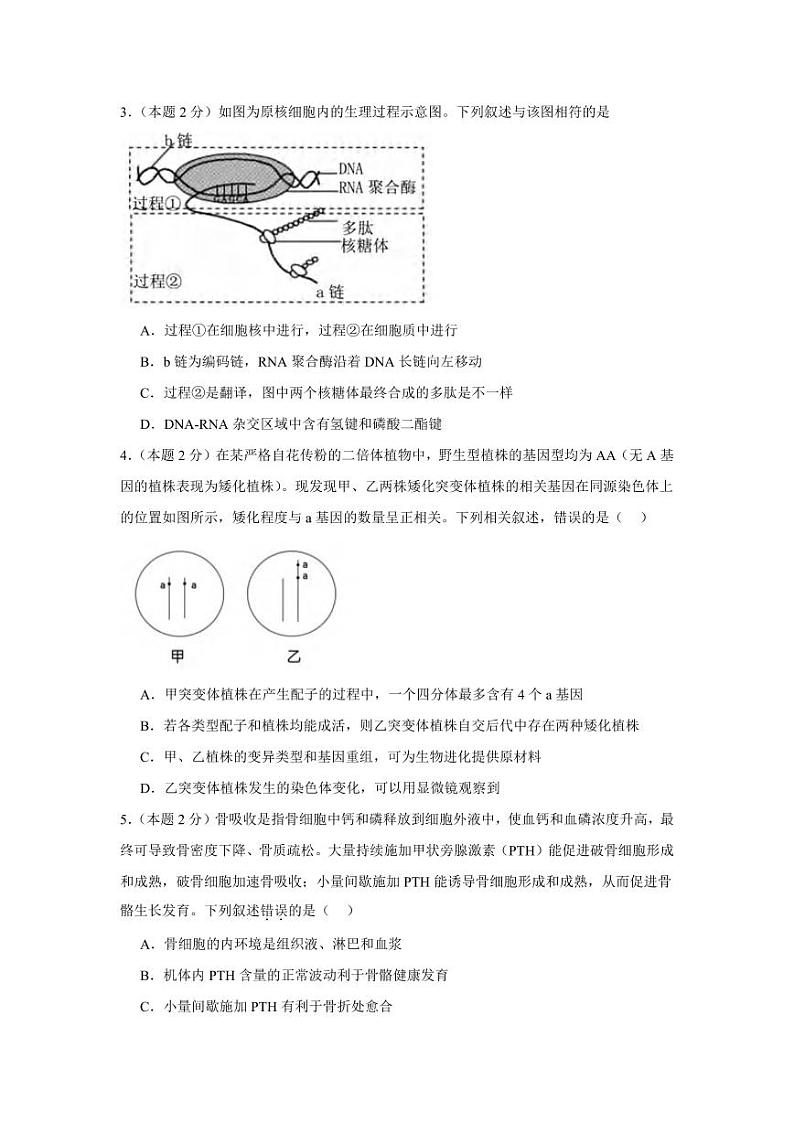 生物丨福建省福建师范大学附属中学2025届高三上学期12月二模生物试卷及答案第2页