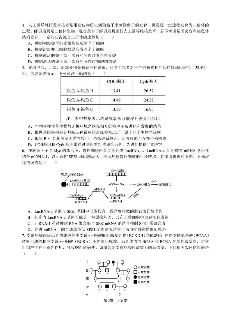 生物丨四川省成都市石室中学2025届高三12月高考适应性测试演练模拟考试生物试卷及答案第2页