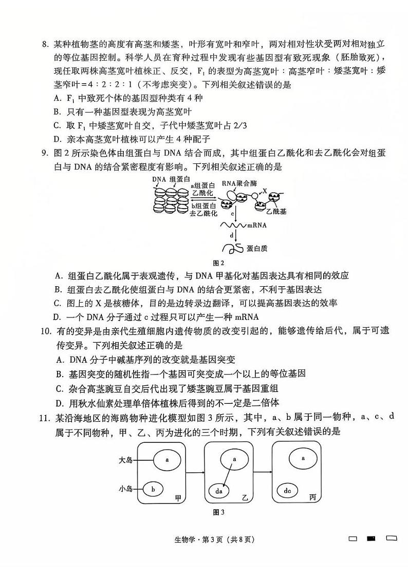生物丨云南省云南师范大学附属中学2025届高三上学期12月适应性月考卷（七）生物试卷及答案第3页