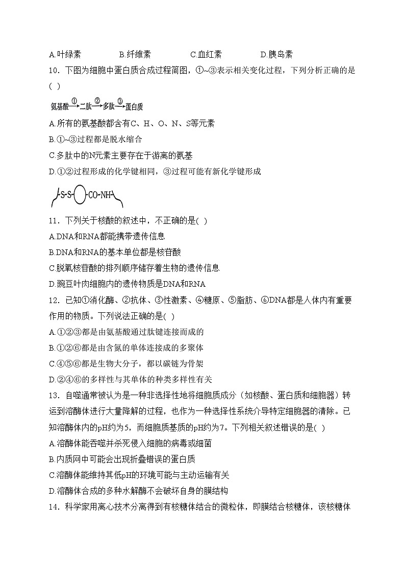 凌源市实验中学2024-2025学年高一上学期第三次月考生物试卷(含答案)第3页