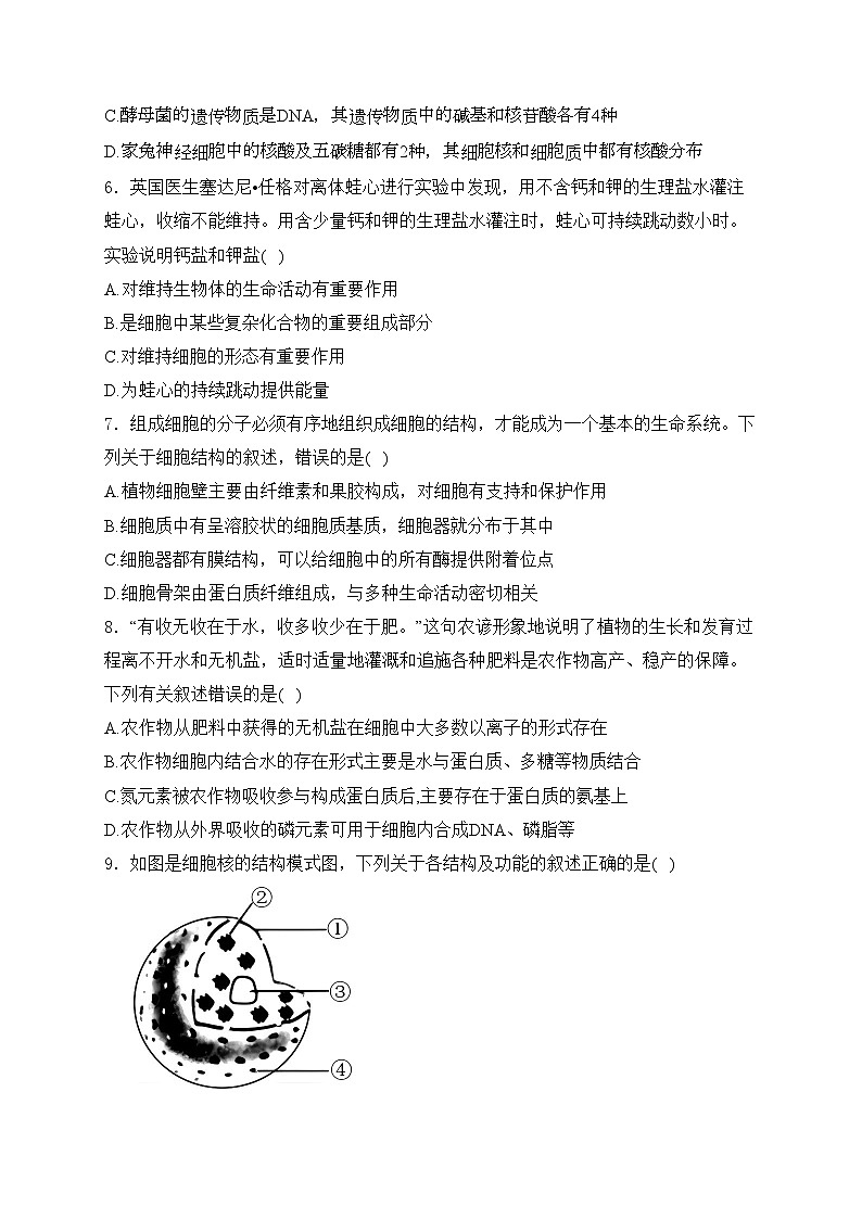 六安市独山中学2024-2025学年高一上学期12月月考生物试卷(含答案)第2页