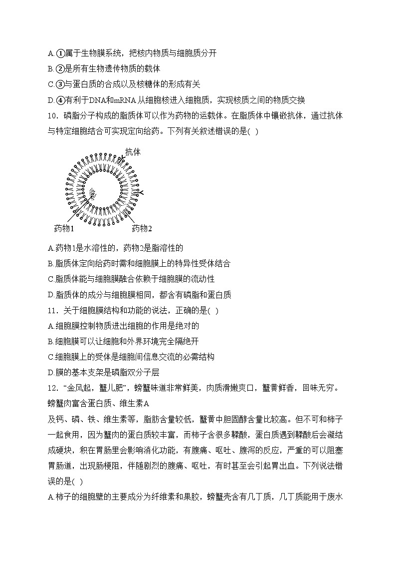 六安市独山中学2024-2025学年高一上学期12月月考生物试卷(含答案)第3页
