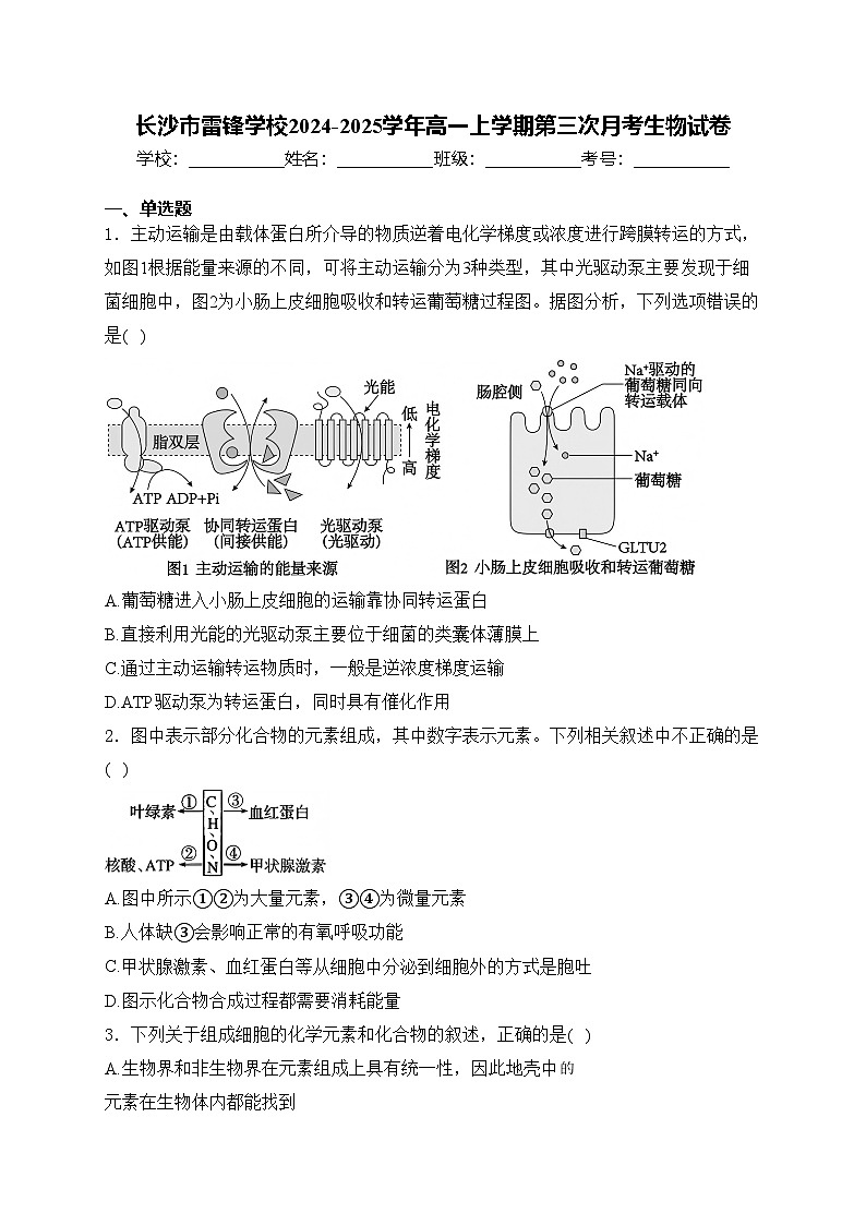 长沙市雷锋学校2024-2025学年高一上学期第三次月考生物试卷(含答案)第1页