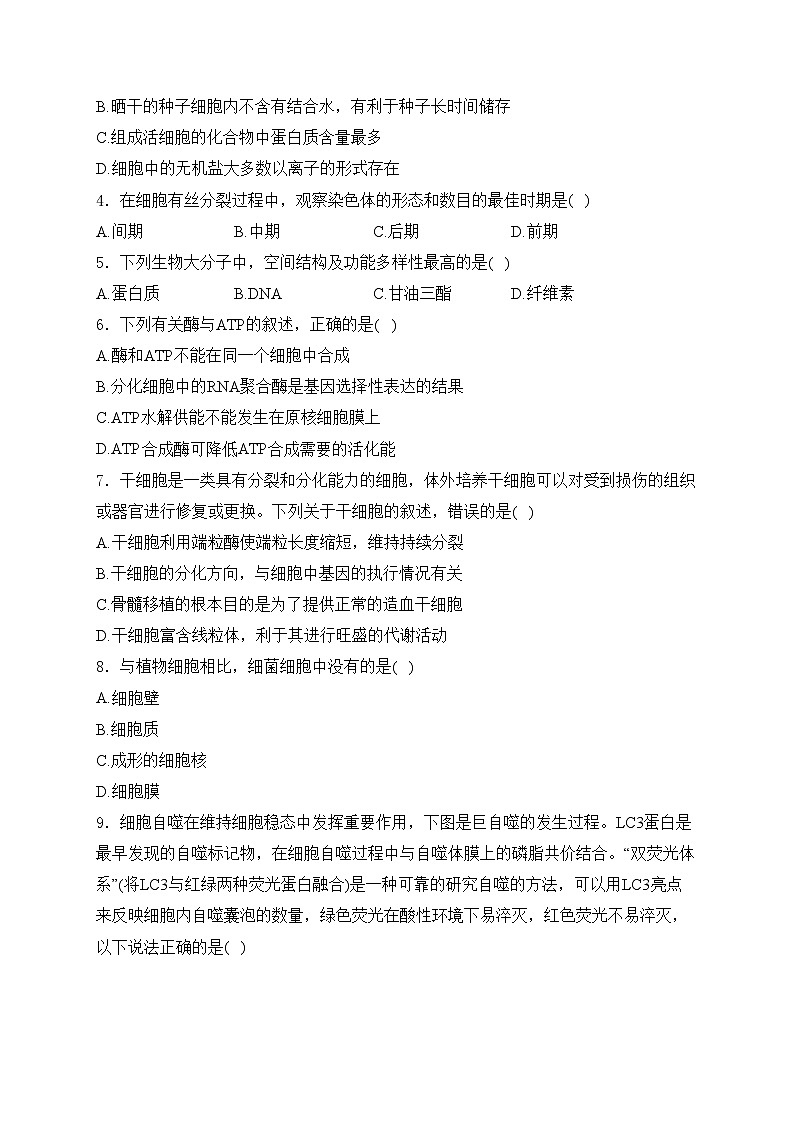 长沙市雷锋学校2024-2025学年高一上学期第三次月考生物试卷(含答案)第2页