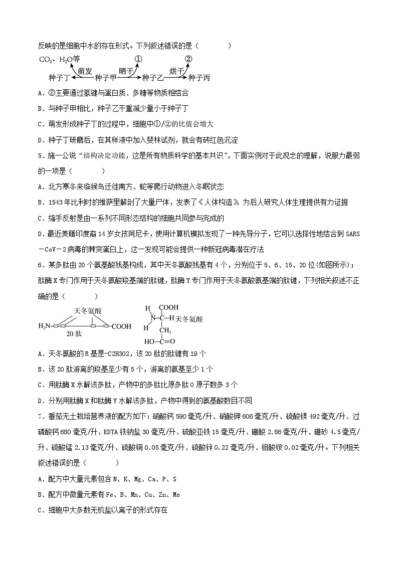 福建省三明市2023_2024学年高一生物上学期期中质量检测试题第2页