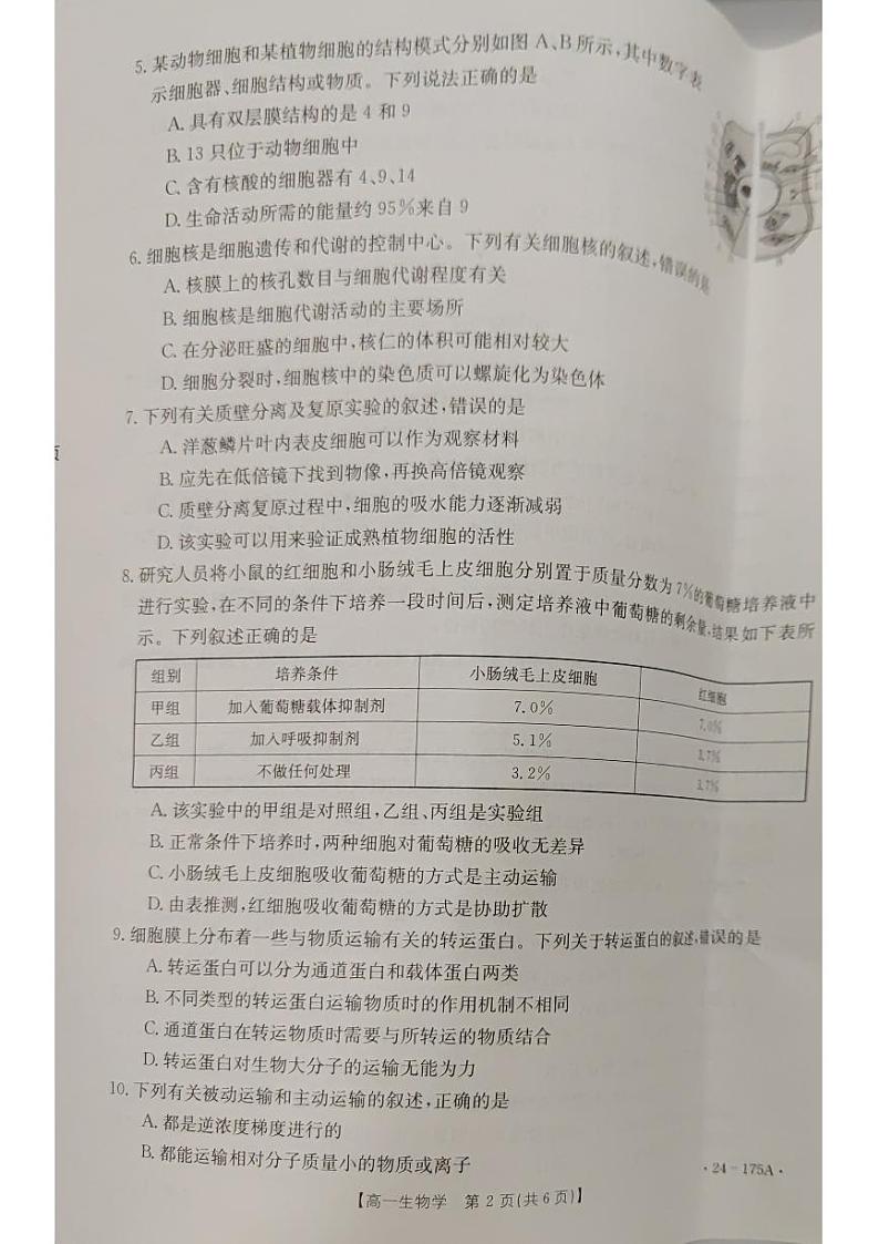 河北省邢台市2023_2024学年高一生物上学期11月月考试题pdf第2页