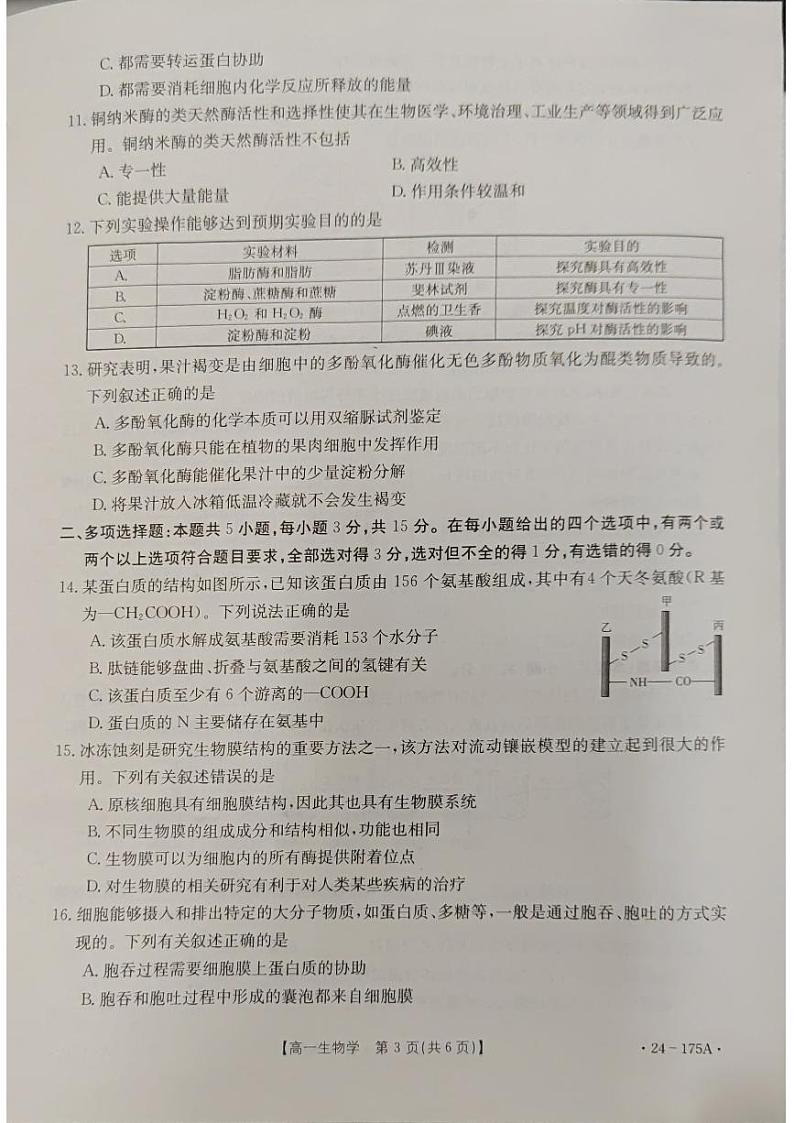河北省邢台市2023_2024学年高一生物上学期11月月考试题pdf第3页
