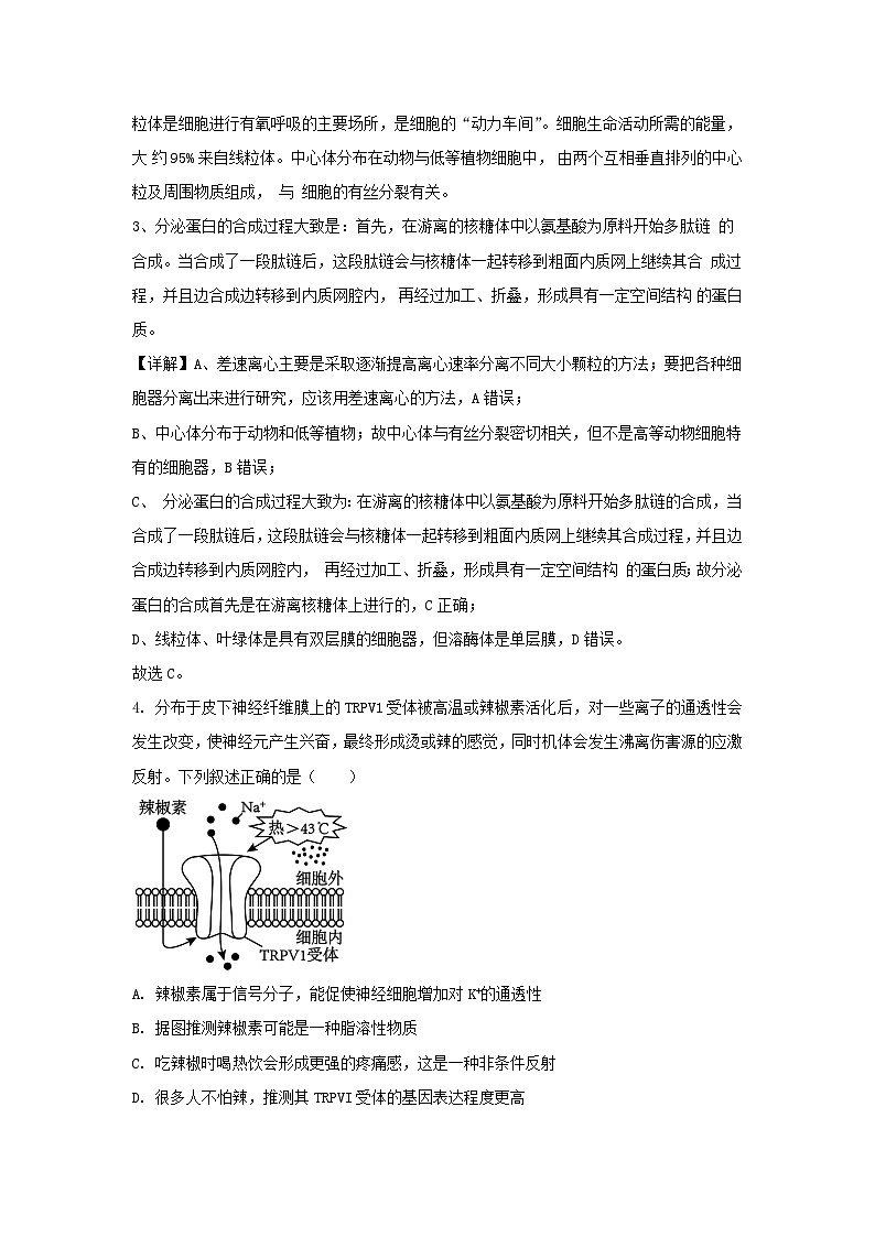 湖北省2023_2024学年高三生物上学期期中试题含解析第3页
