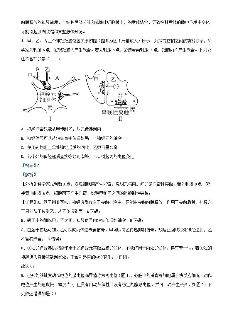 湖北省孝感市2023_2024学年高二生物上学期11月期中试题含解析第3页
