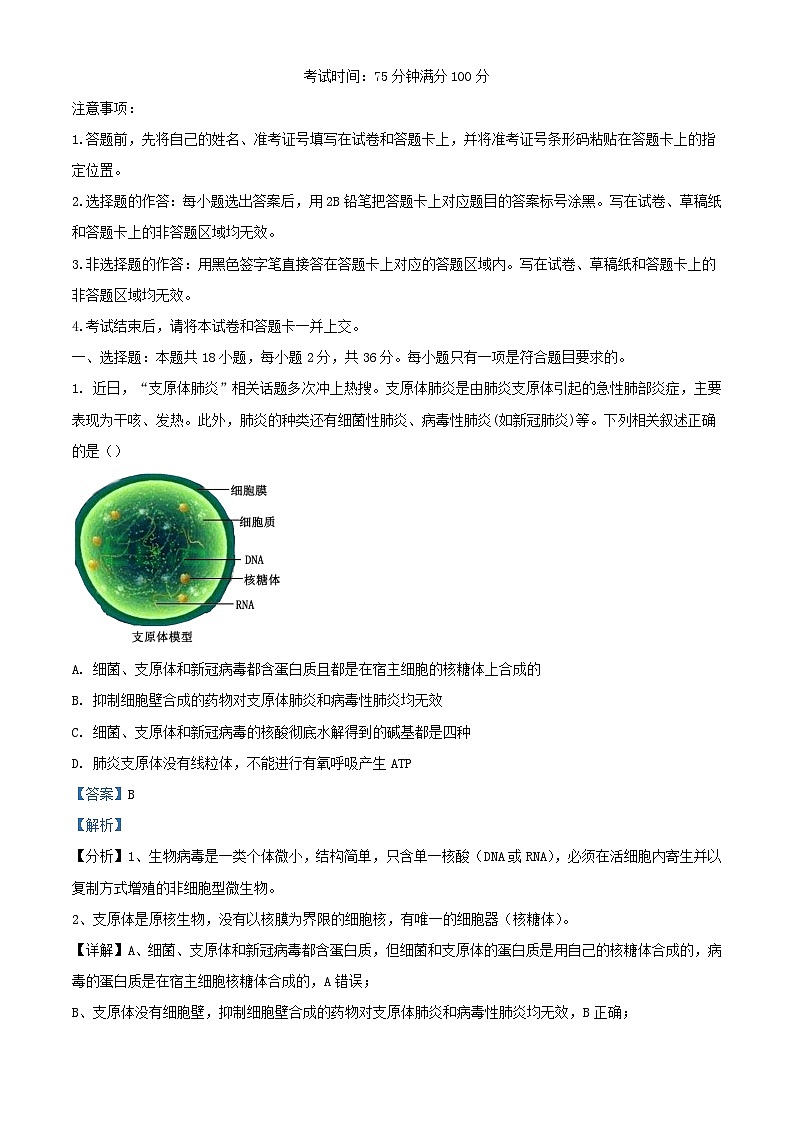湖北省宜昌市2023_2024学年高二生物上学期11月月考试题含解析第1页