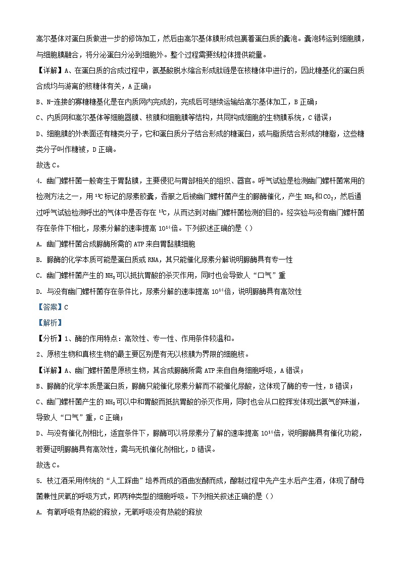 湖北省宜昌市2023_2024学年高二生物上学期11月月考试题含解析第3页