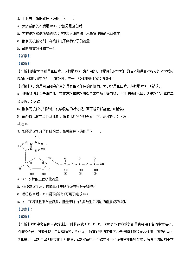 湖南省邵阳市武冈市2023_2024学年高二生物上学期期中试题含解析第2页