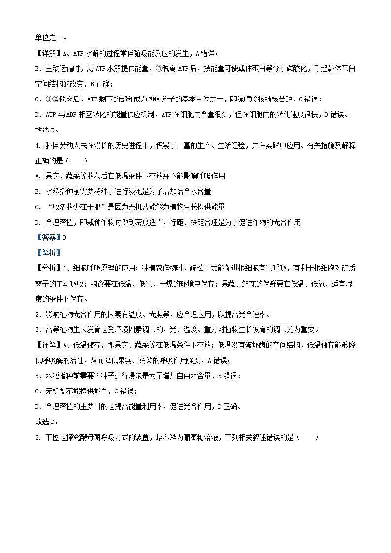 湖南省邵阳市武冈市2023_2024学年高二生物上学期期中试题含解析第3页
