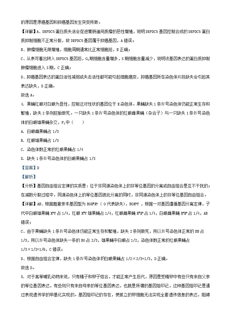 湖南省邵阳市武冈市2023_2024学年高三生物上学期期中试题含解析第3页