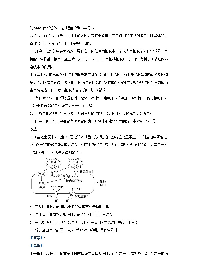 湖南省长沙市2023_2024学年高三生物上学期月考四试题含解析第2页