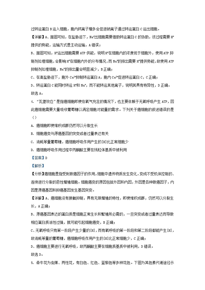湖南省长沙市2023_2024学年高三生物上学期月考四试题含解析第3页