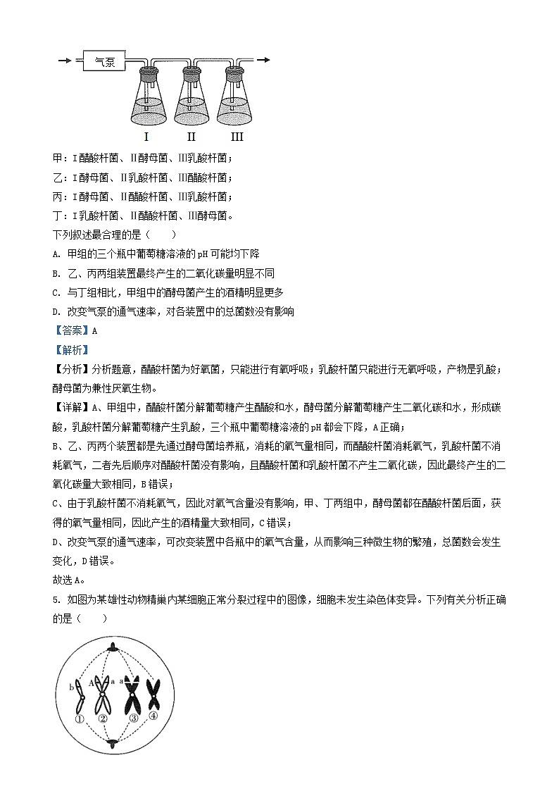 山西省朔州市怀仁市2023_2024学年高三生物上学期11月期中试题含解析第3页
