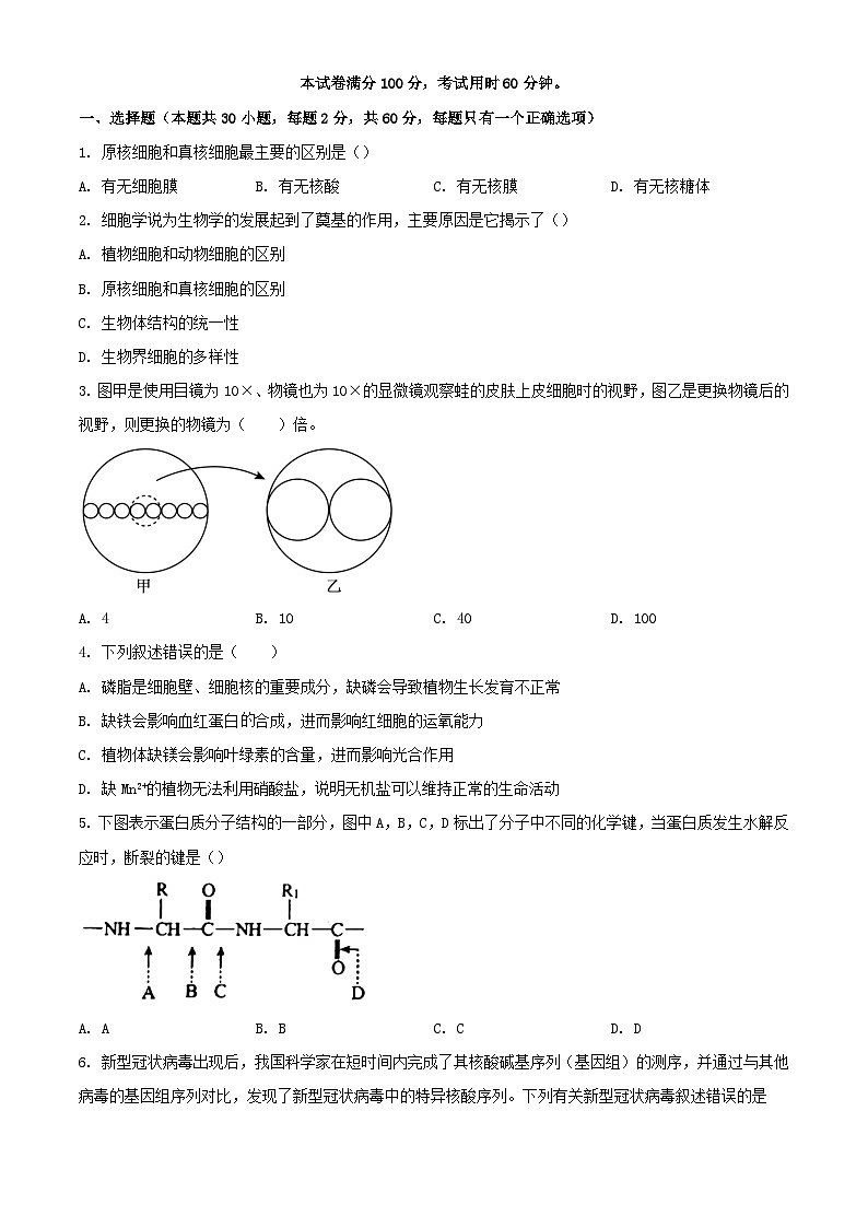天津市2023_2024学年高一生物上学期期中联考试题含解析第1页