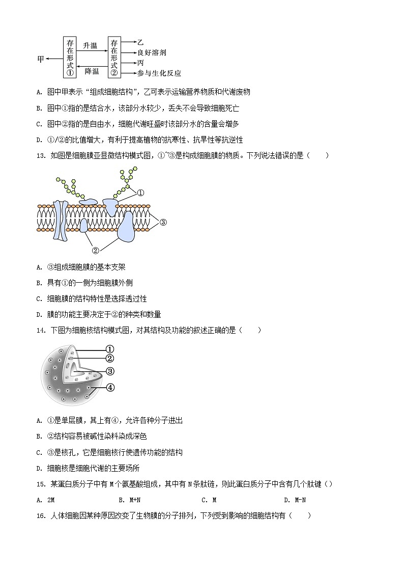 天津市2023_2024学年高一生物上学期期中联考试题含解析第3页