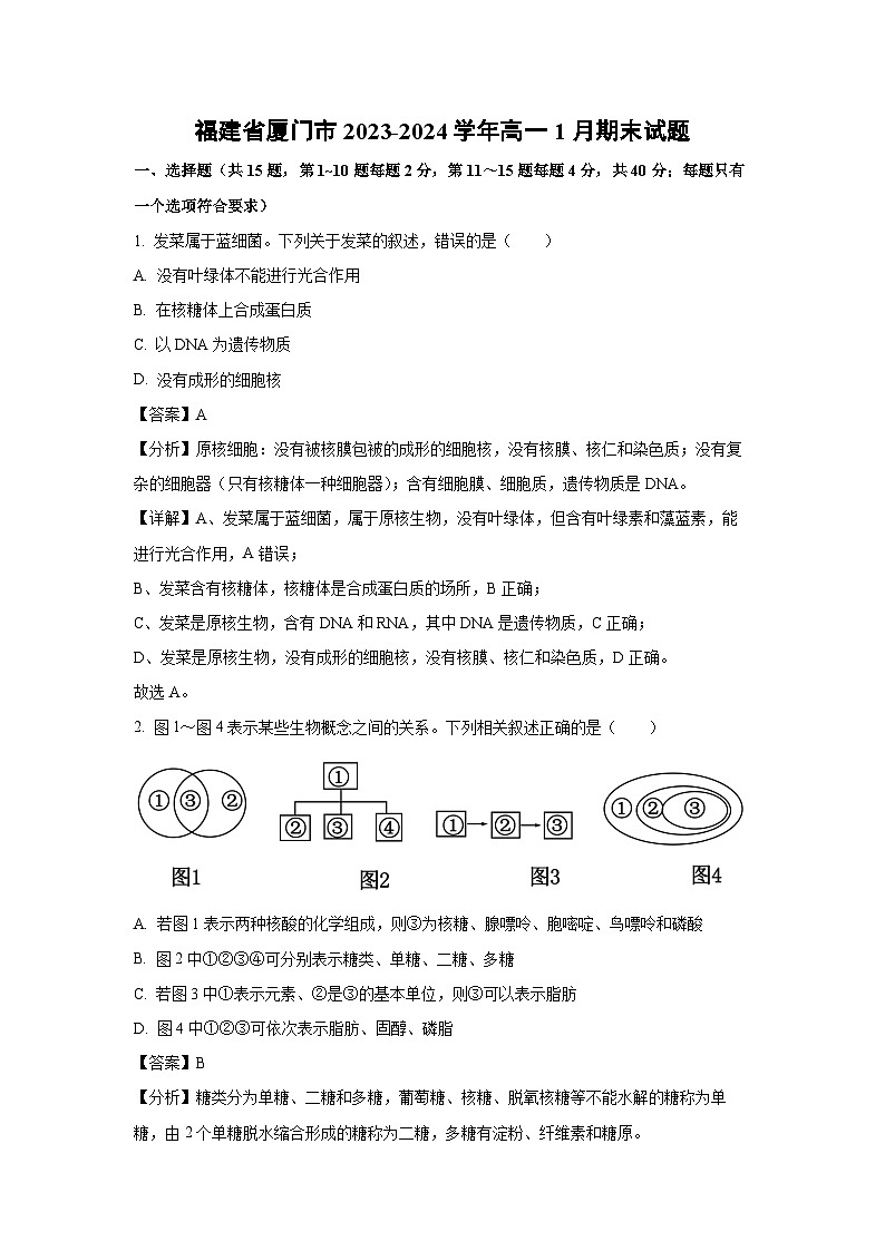 福建省厦门市2023-2024学年高一上1月期末生物试卷（解析版）第1页