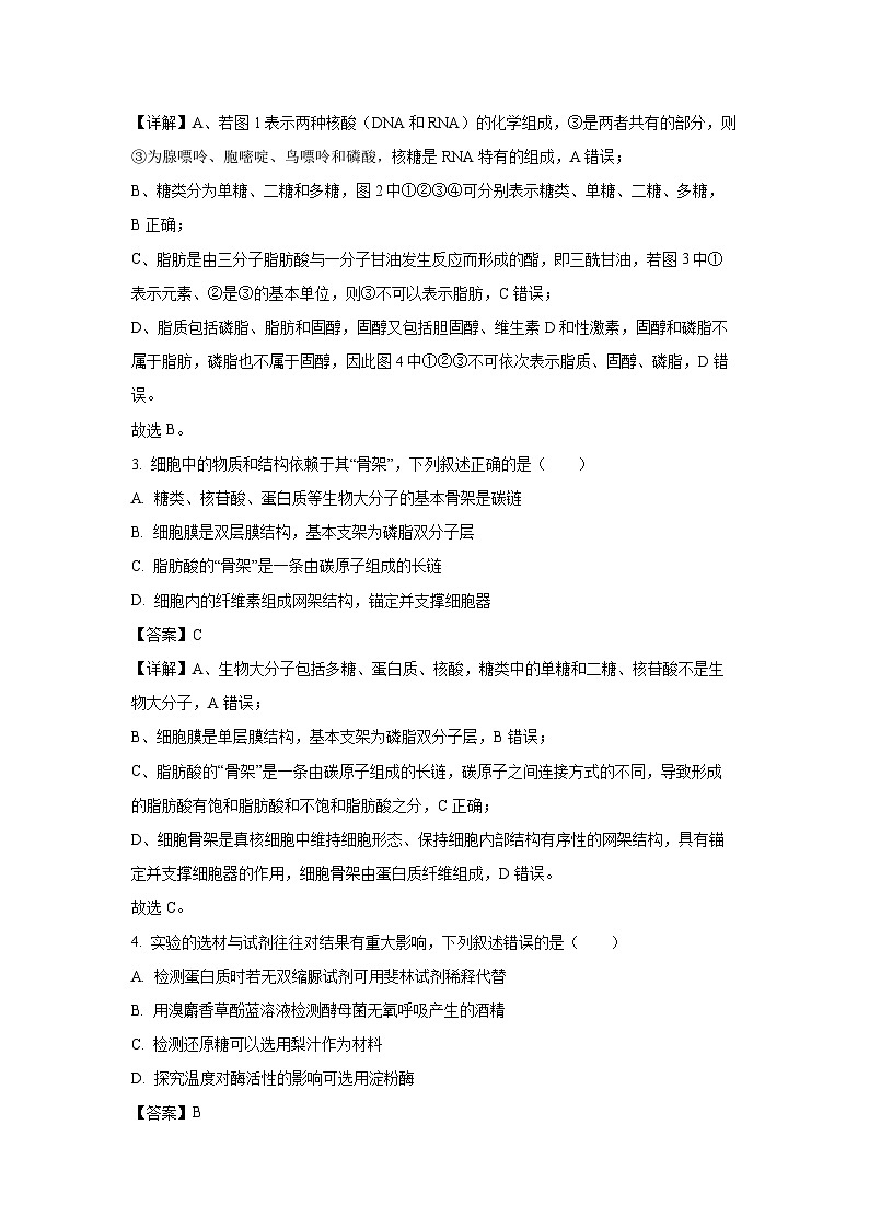 福建省厦门市2023-2024学年高一上1月期末生物试卷（解析版）第2页