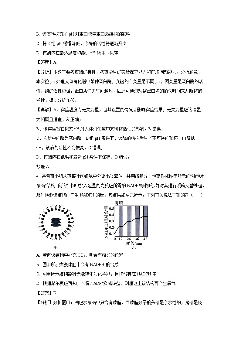 甘肃省白银市靖远县2025届高三第一次全县联考一模生物试卷（解析版）第3页