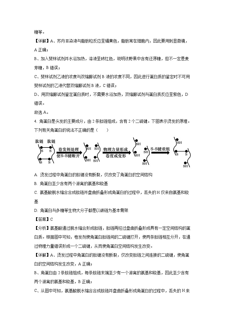 陕西省渭南市2023-2024学年高一（上）期末生物试卷（解析版）第3页