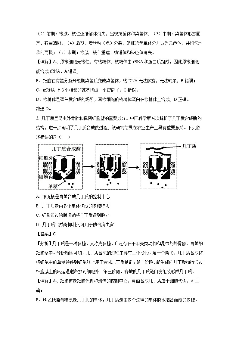辽宁省沈阳市郊联体2024-2025学年高三（上）11月期中生物试卷（解析版）第2页