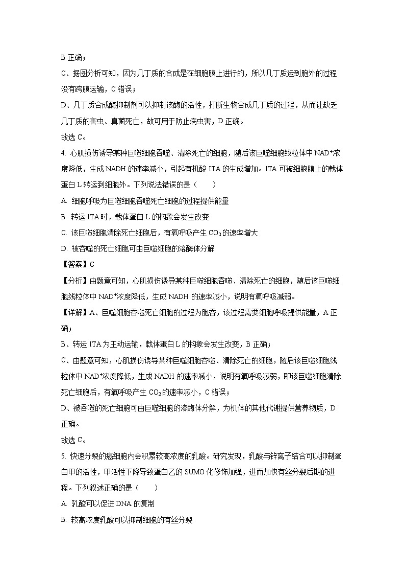 辽宁省沈阳市郊联体2024-2025学年高三（上）11月期中生物试卷（解析版）第3页