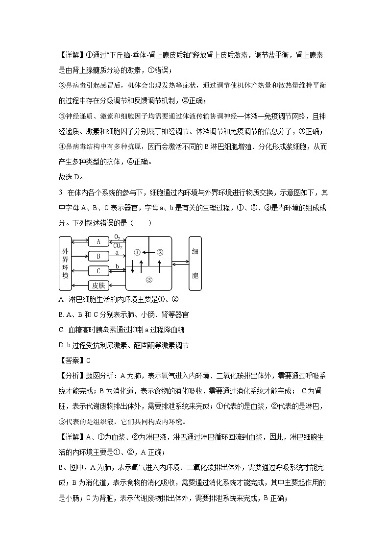 福建省泉州市四校联考2024-2025学年高二（上）11月期中生物试卷（解析版）第2页