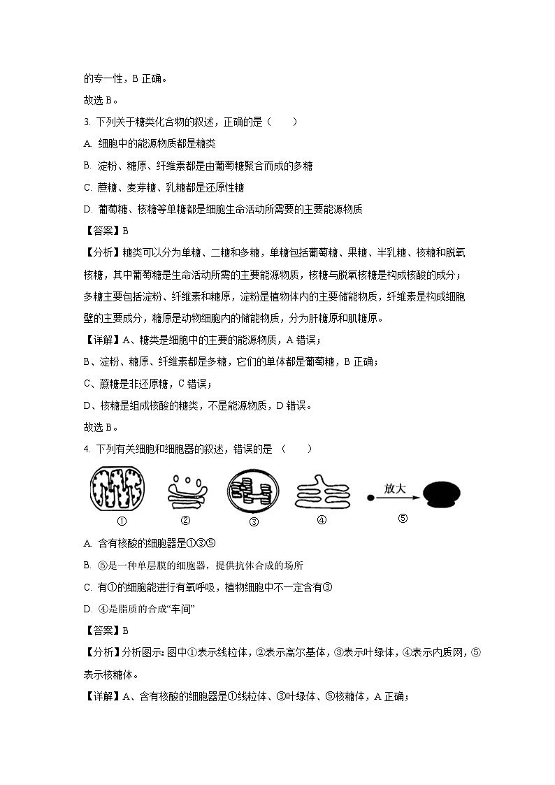 湖南省娄底市涟源市2023-2024学年高一上1月期末生物试卷（解析版）第2页