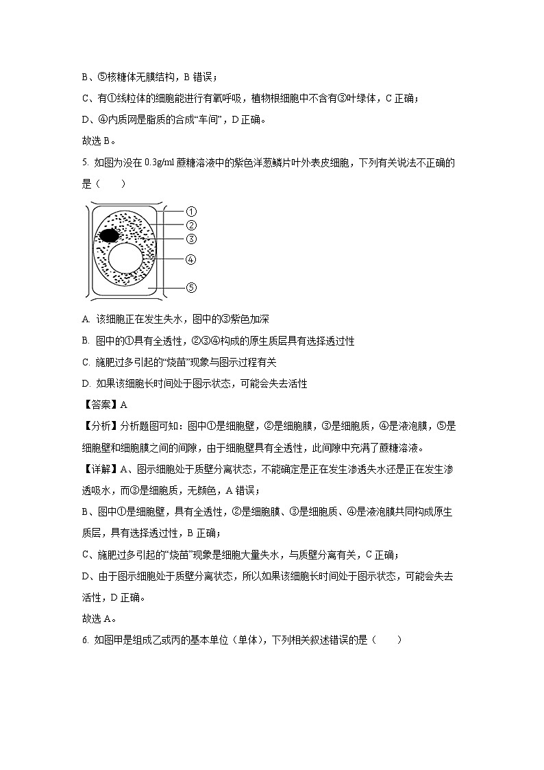 湖南省娄底市涟源市2023-2024学年高一上1月期末生物试卷（解析版）第3页