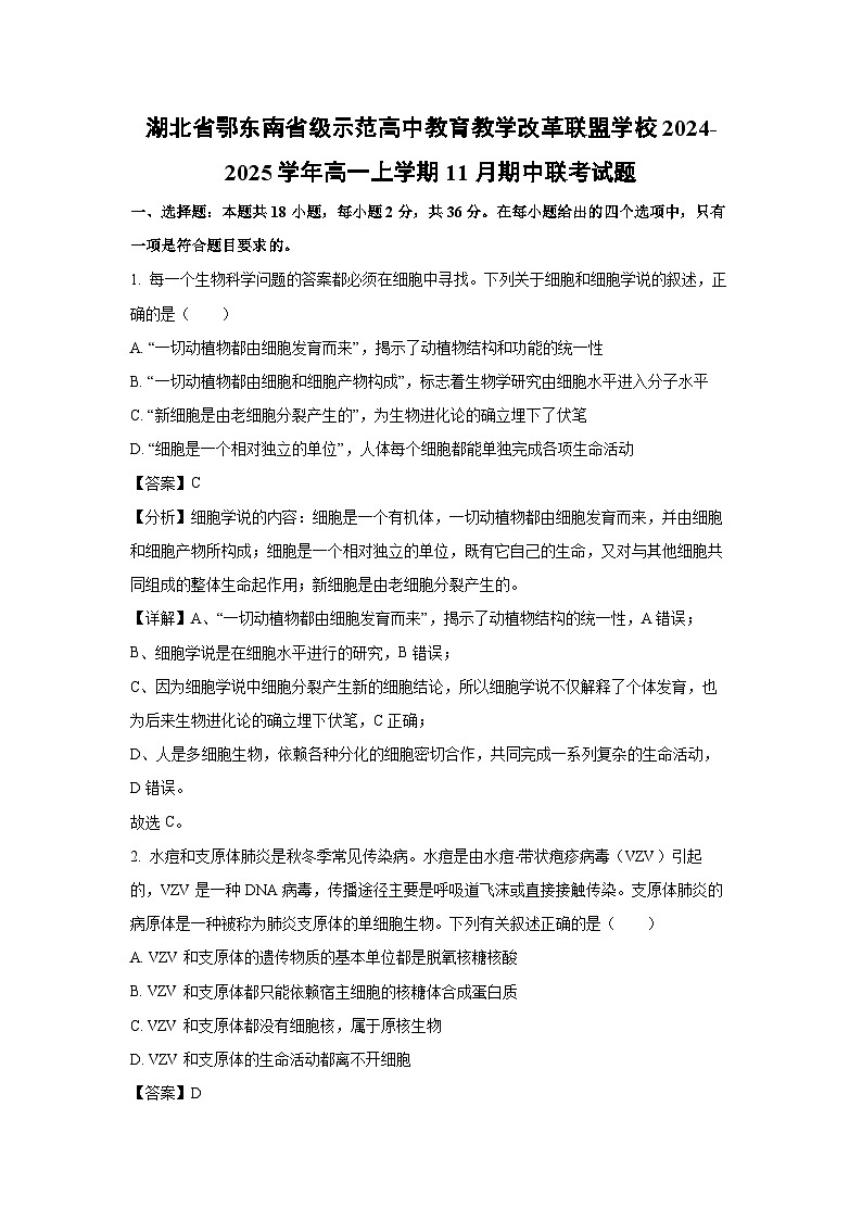 湖北省鄂东南省级示范高中教育教学改革联盟学校2024-2025学年高一（上）11月期中联考生物试卷（解析版）第1页