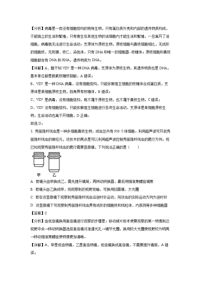 湖北省鄂东南省级示范高中教育教学改革联盟学校2024-2025学年高一（上）11月期中联考生物试卷（解析版）第2页