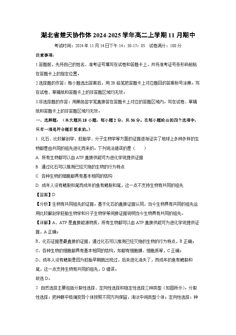 湖北省楚天协作体2024-2025学年高二（上）11月期中生物试卷（解析版）第1页