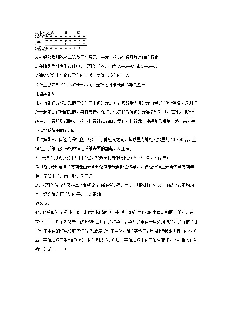 湖北省云学联盟2024-2025学年高二（上）11月期中生物试卷（解析版）第3页