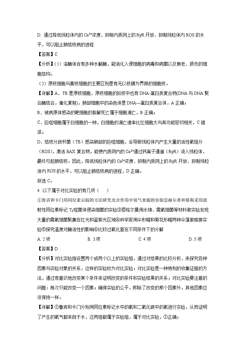 河南省金太阳2024-2025学年高三（上）11月期中联考生物试卷（解析版）第3页