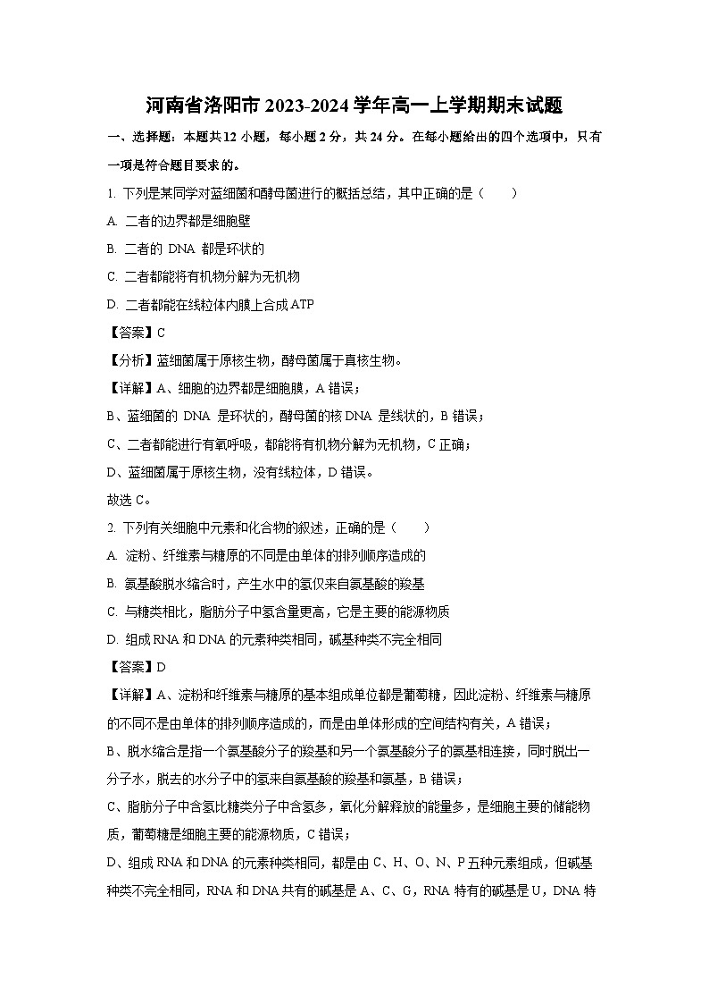 河南省洛阳市2023-2024学年高一（上）期末生物试卷（解析版）第1页