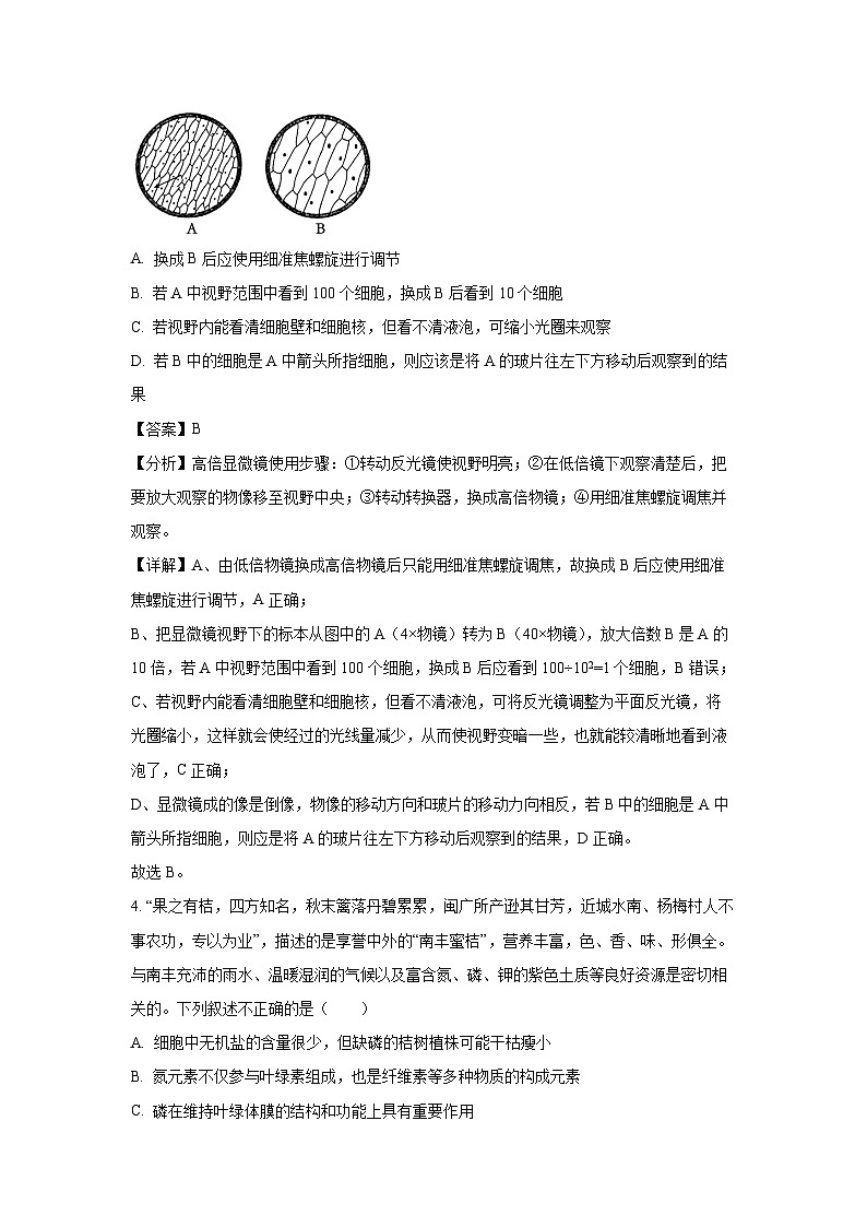 江西省抚州市2023-2024学年高一（上）学业质量监测生物试卷（解析版）第3页
