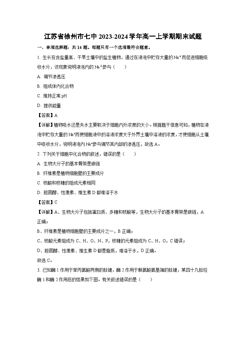 江苏省徐州市七中2023-2024学年高一（上）期末生物试卷（解析版）第1页