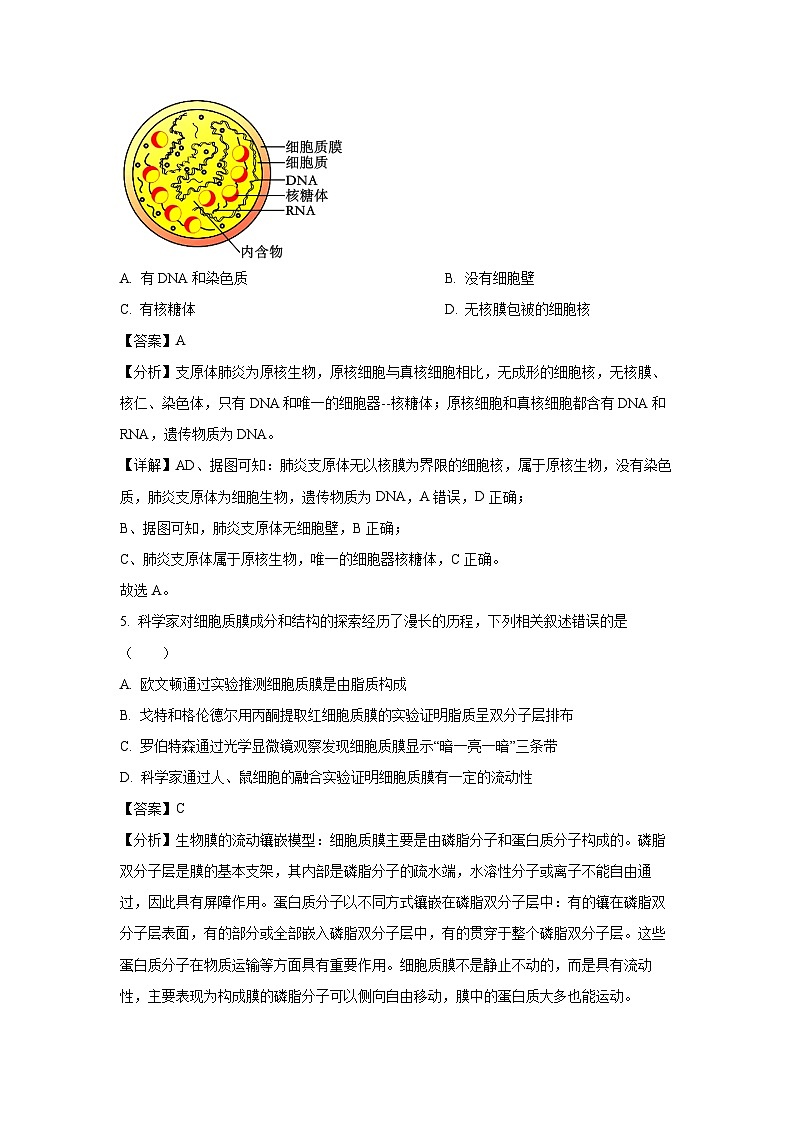江苏省徐州市七中2023-2024学年高一（上）期末生物试卷（解析版）第3页