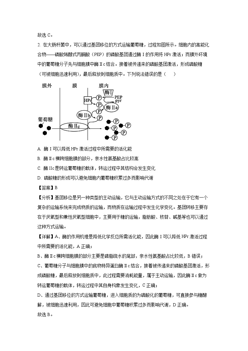 山东省菏泽市2024-2025学年高三（上）11月期中生物试卷（解析版）第2页